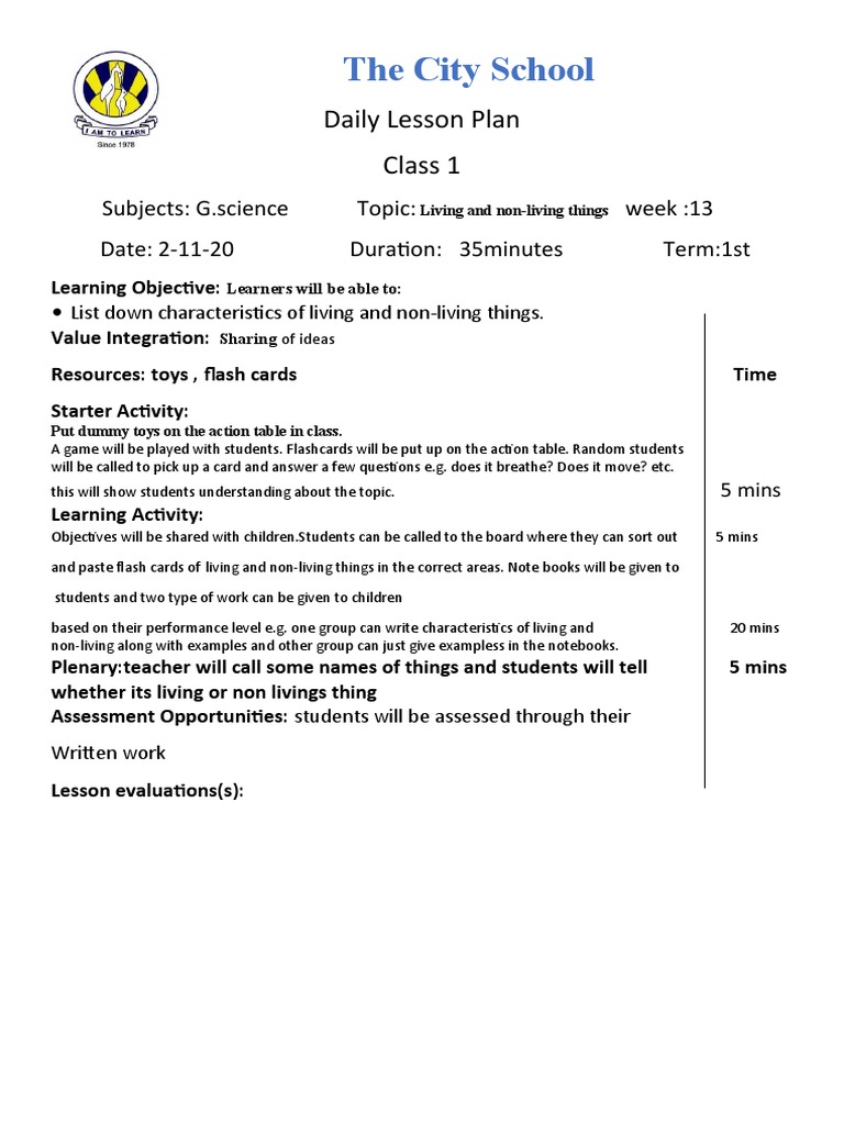 The City School: Daily Lesson Plan Class 1 | PDF | Lesson Plan ...