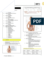 Relative measurements of digestive tract anatomy