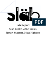 sean burke - lab report 