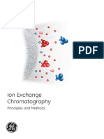 Cromatografica de Troca Iónica- GE.pdf