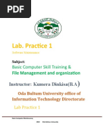 Lab Practice Final