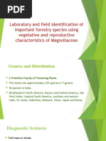 Laboratory and Field Identification of Important Forestry Species Using Vegetative and Reproductive Characteristics of Magnoliaceae