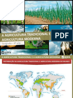 agricultura traducional vs moderna.pptx