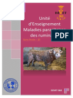 S9 - Maladies Parasitaires Des Ruminants-DZVET360-Cours-veterinaires