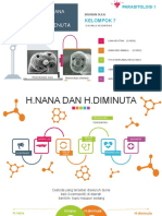 H.nana Dan H.diminuta