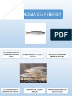 Biecologia Del Pejerrey