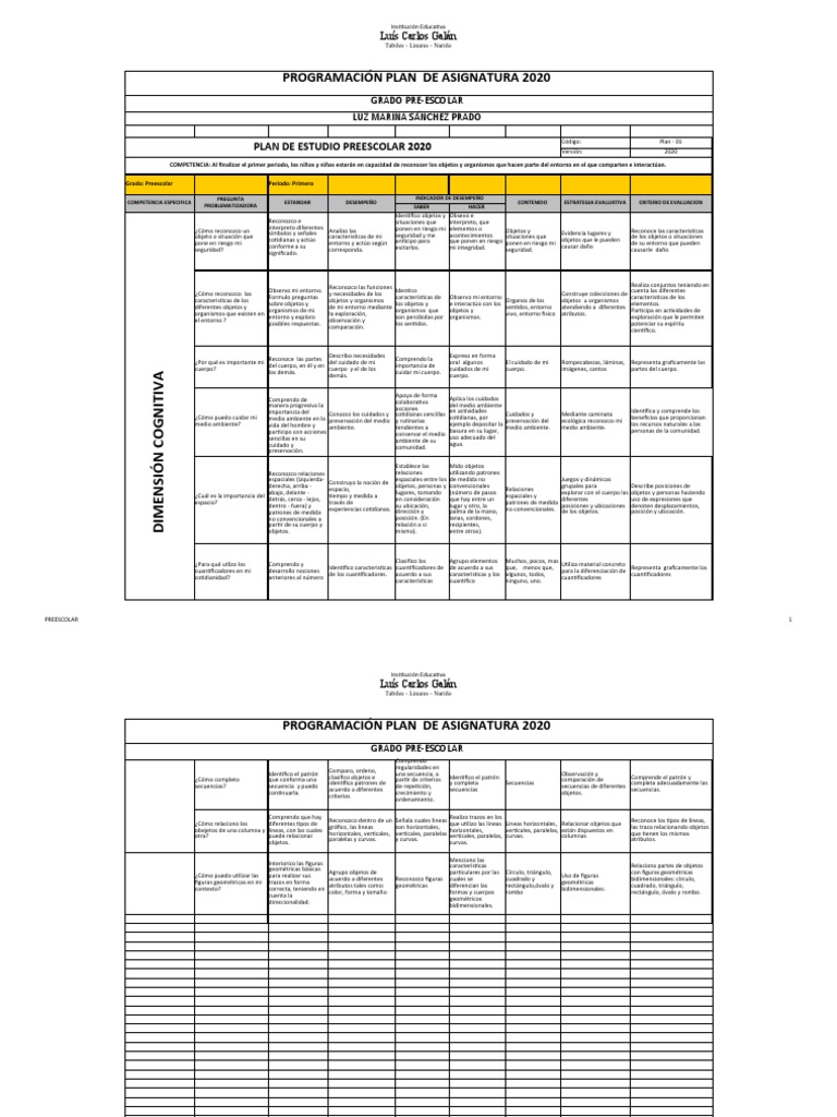 Plan de Estudios Preescolar 2020 | PDF | Educación de la primera ...