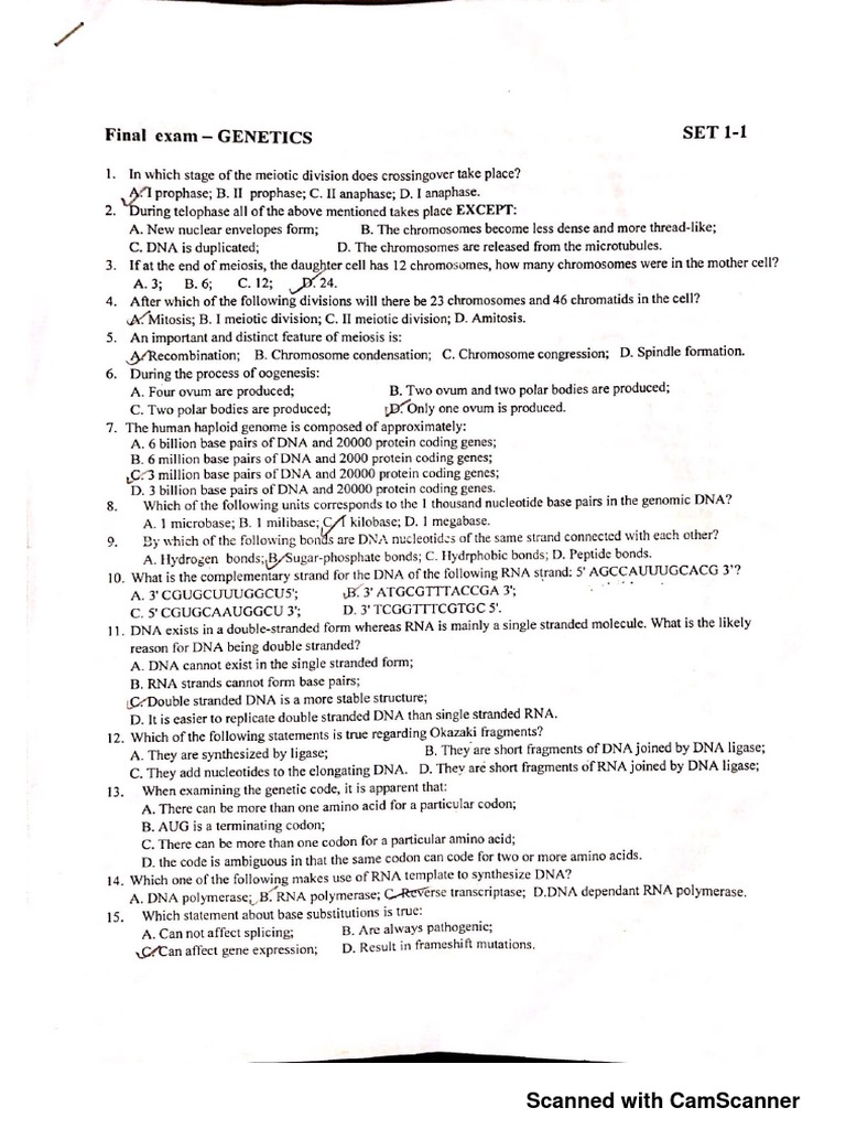 Medical Genetics | PDF