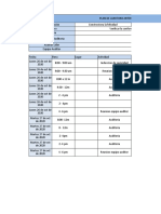 Plan de auditoria interna