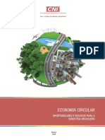 Economia Circular Oportunidades e Desafios para A Indústria Brasileira PDF