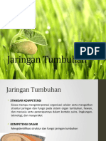 7. Jaringan Tumbuhan