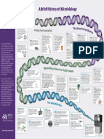 Infographic A Brief History of Microbiology PDF