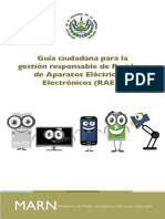 GuiaRAEE_cs6.pdf
