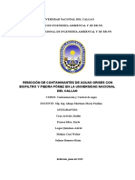 Remocion de Contaminantes de Aguas Grises Con Biofiltro y Pieda Pomez PDF
