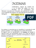 Enzimas PDF