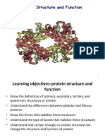 Protein Structure and Function: Understanding Primary, Secondary, Tertiary and Quaternary Levels