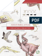 Anatomia Aviar Color PDF