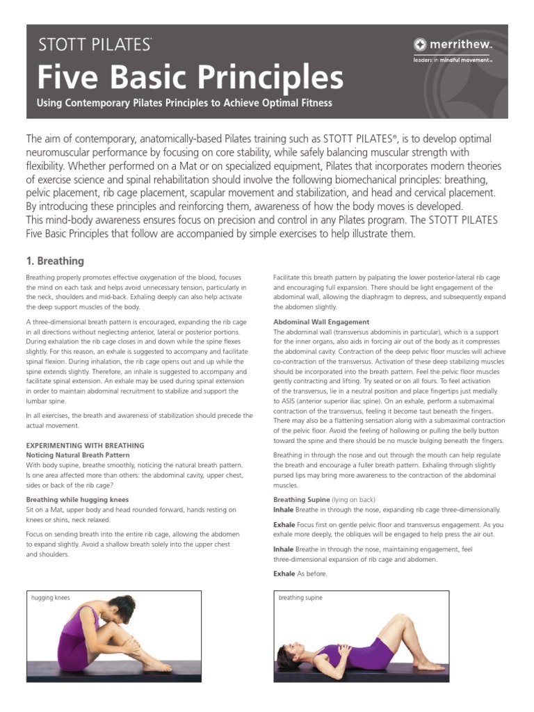 A Brochure On The Stott Pilates Five Basic Principles PDF Pelvis