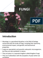 Fungi: Prepared by Elina Shrestha M.SC - MM Pokhara University