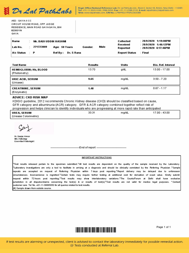 Lab Report for CKD Risk Analysis | PDF | Chronic Kidney Disease | Renal ...
