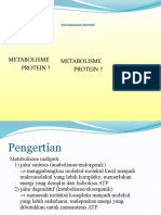 metabolisme-protein