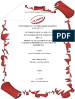 Analisis Del Proceso de Decision Del Consumidor para La Estrategia Comercial de La Empresa