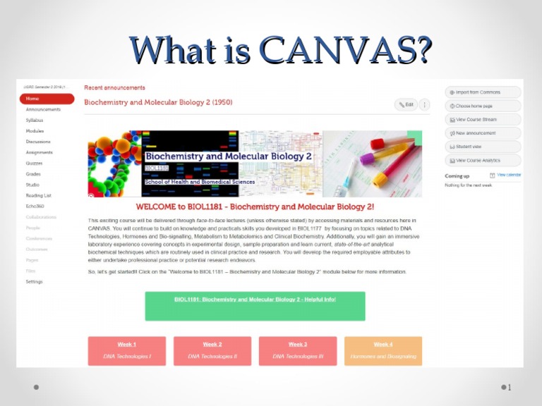 What is canvas pdf