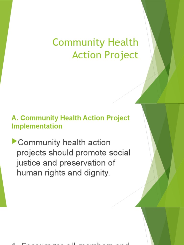 Community Health Action Project Overview | PDF