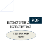 Histology of The Lower Respiratory Tract: Dr. Ejlal Elfadil Hussein B. SC, M.SC
