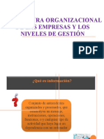 ESTRUCTURA ORGANIZACIONAL DE LAS EMPRESAS Y LOS NIVELES DE GESTIÓN (1)