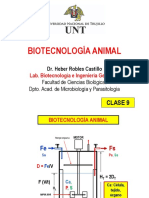 Biotecnología animal clase 9