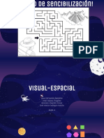 Visual Espacial