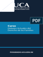 Curso Debates Actuales Derecho Familias PDF