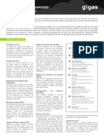 Backup Avanzado PDF