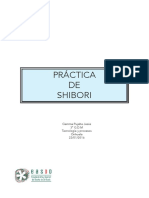 Practica de Shibori