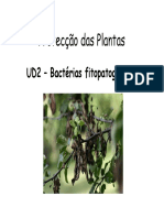 UD2 - Bactérias Fitopatogénicas PDF