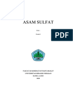 Makalah Susanti (Asam Sulfat)