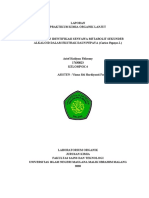 Revisi Final PDF
