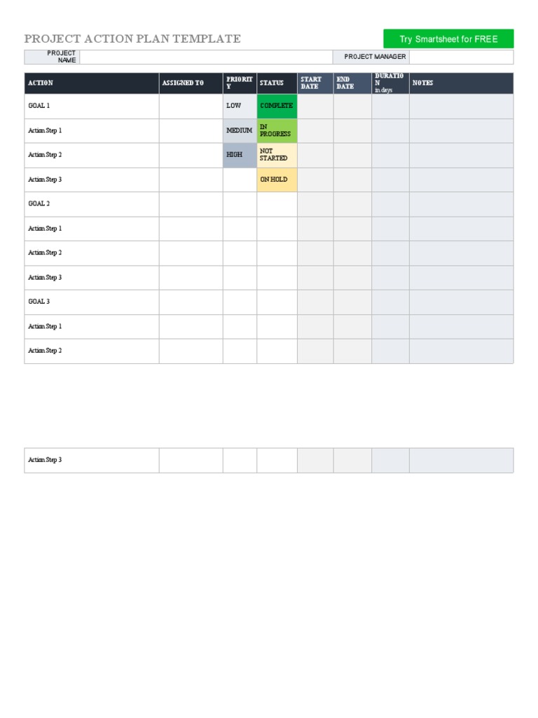 Project Action Plan Template Guide | PDF