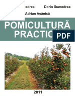 Pomicultura