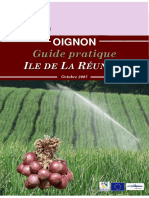 Production_oignon_Reunion_Guide_pratique