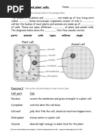ks3 science revision worksheets cells pdf vacuole cell biology
