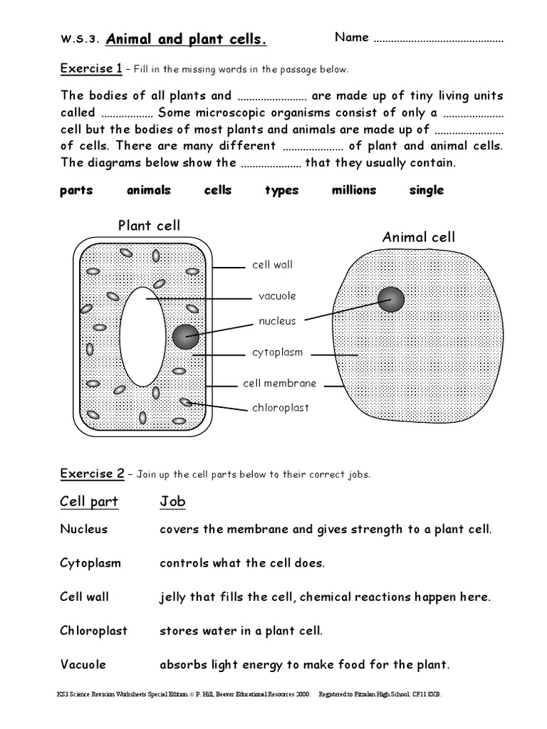 ks3 science revision worksheets cells pdf vacuole cell biology