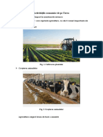 2.6s13_activitatile_economice_pe_terra.docx