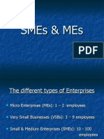 SMEs & MEs