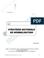SNN Annex PDF