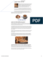 Dieta BARF para Gatos PDF