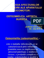 Osteomielita-30598.pdf