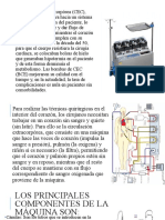 Circulación Extracorpórea