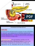 Enzimas Pancreas